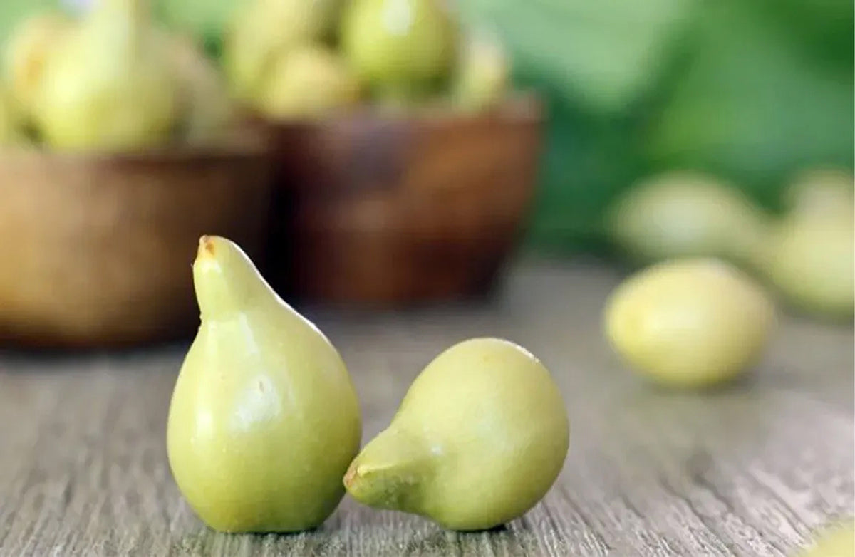 KAKADU PLUM