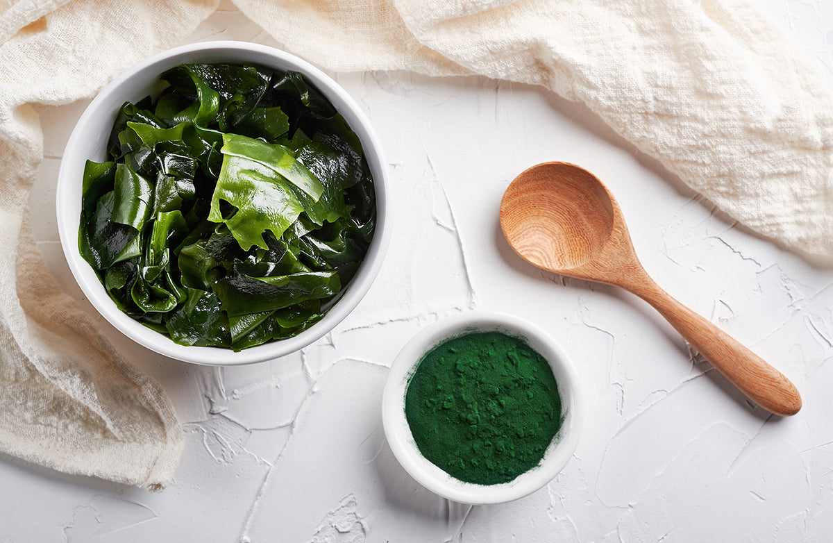 SPIRULINA EXTRACT